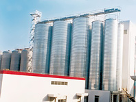 Zhujiang Beer